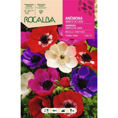 ROCALBA BULBO ANEMONA SIMPLE DE CAEN MEZCLA DE COLORES (10 UD)