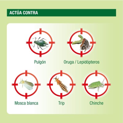 PROTECT GARDEN INSECTICIDA AL SPRAY 750ML
