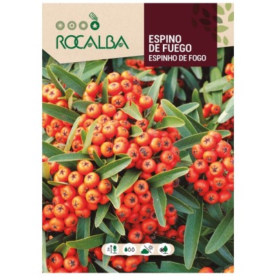 ROCALBA Semillas de Espino de fuego Pyracantha coccinea
