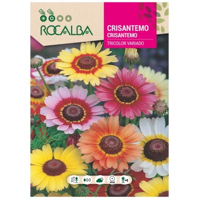 ROCALBA SEMILLA CRISANTEMO TRICOLOR VARIADO 5GR