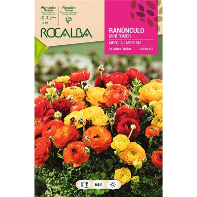 ROCALBA BULBO RANUNCULO MINI TORNER MEZCLA DE COLORES (10 UD)