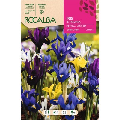 ROCALBA Bulbo iris de holanda mezcla de colores (10 UD)