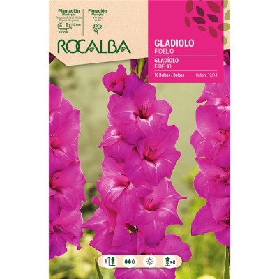 ROCALBA BULBO GLADIOLO FIDELIO ROSA - 10 UD.