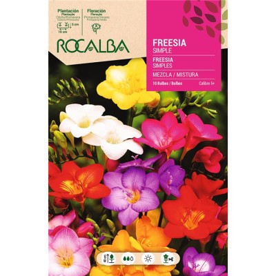 ROCALBA BULBOS DE FREESIA SIMPLE MEZCLA DE COLORES (10 UD)