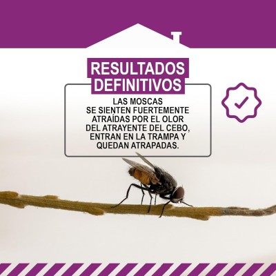 MASTERLAC CUBO Atrapa Moscas