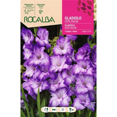 ROCALBA BULBO GLADIOLO COTE D´AZUR (10UD)