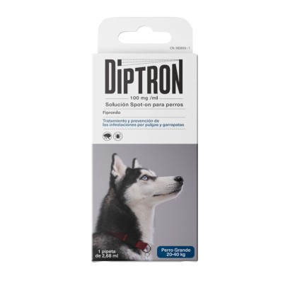 DIPTRON PIPETA 20-40KG
