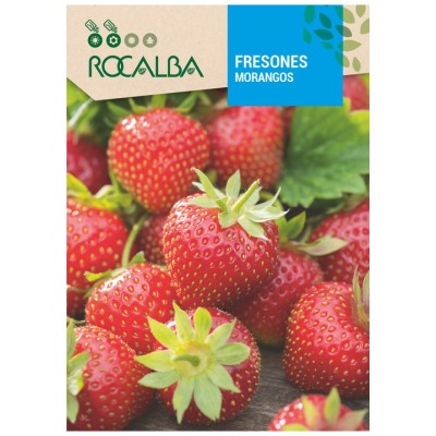 ROCALBA Semillas Fresones