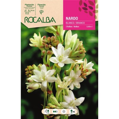 ROCALBA BULBO NARDO BLANCO - 2 UD.
