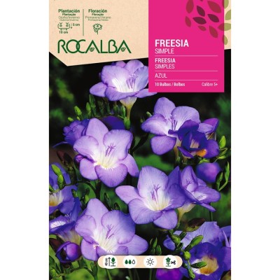 Freesia Simples -Azul (10UD)