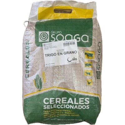 TRIGO 10KG